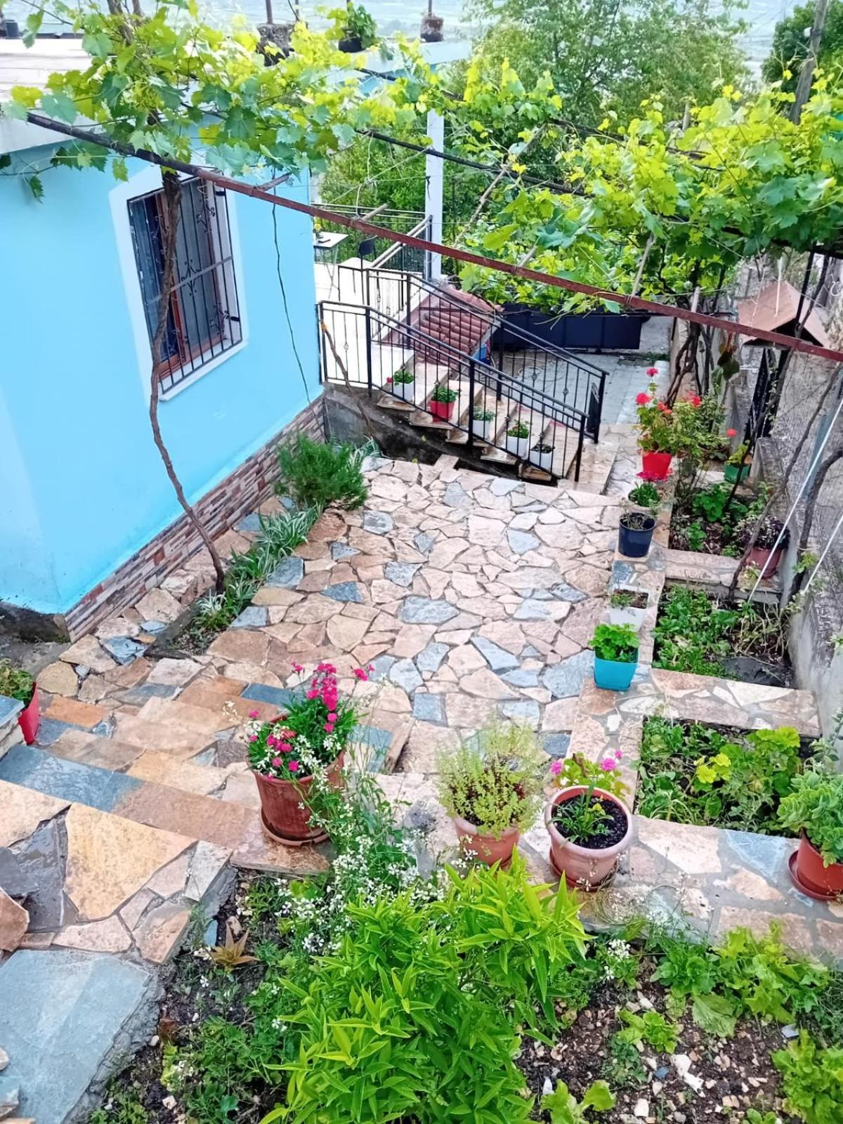 Guest House Eloid Berat Kültér fotó